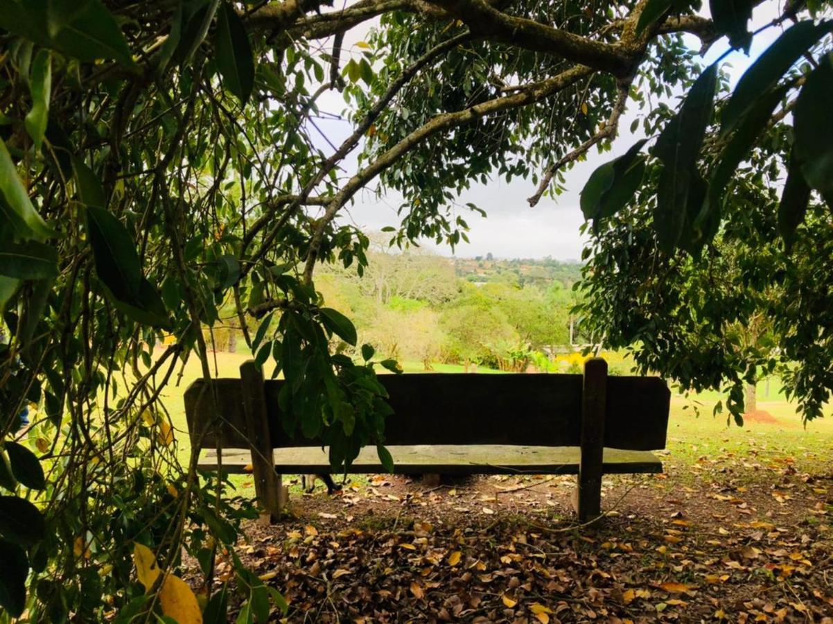 Pousada Sitio Da Terra E Arte São Roque Buitenkant foto