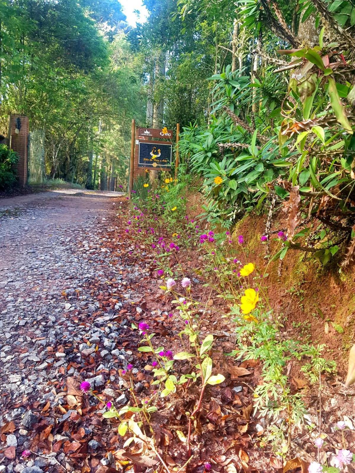 Pousada Sitio Da Terra E Arte São Roque Buitenkant foto