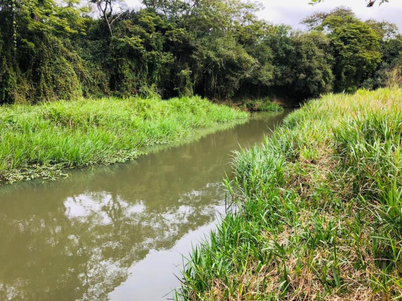 Pousada Sitio Da Terra E Arte São Roque Buitenkant foto