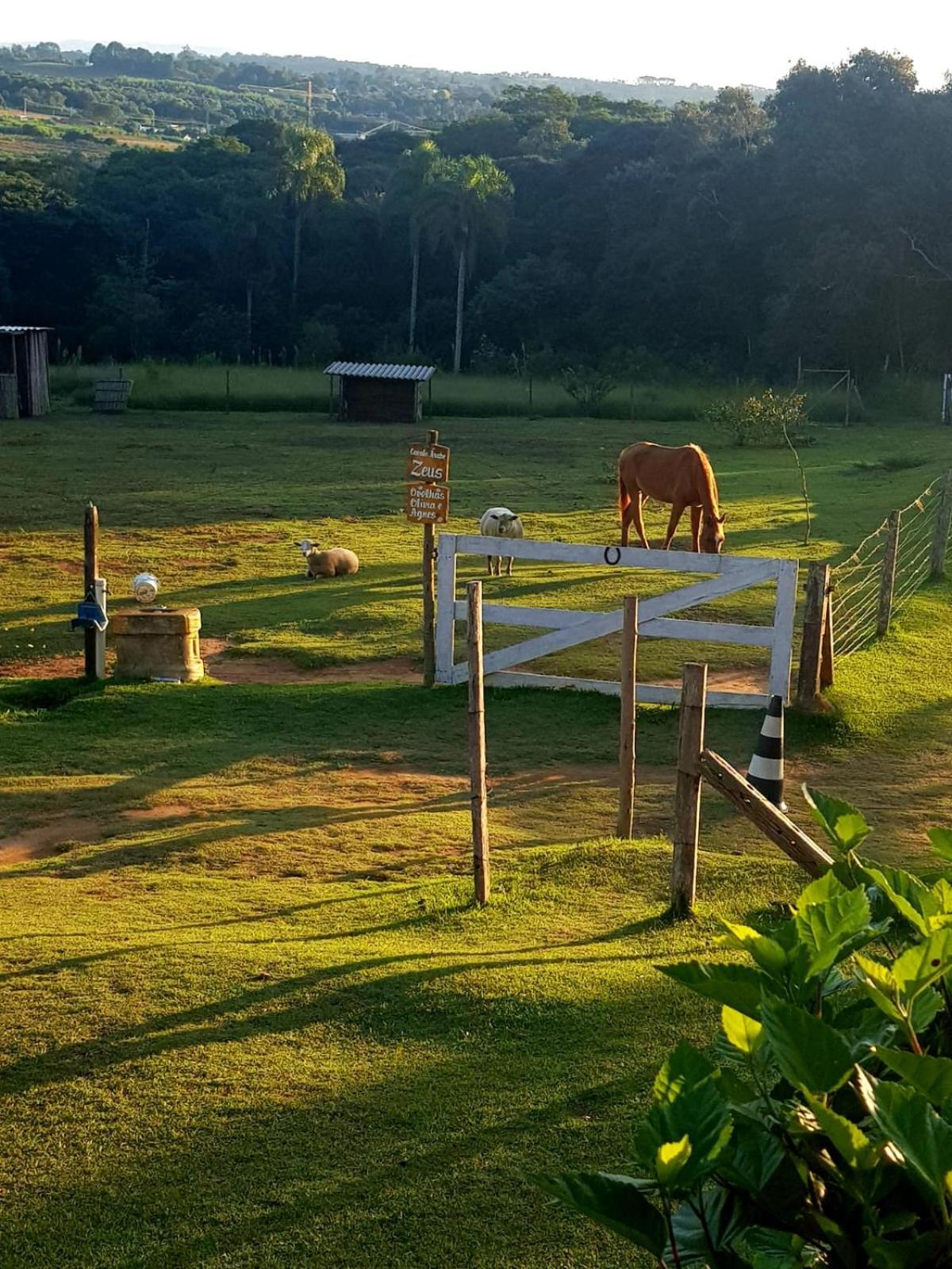 Pousada Sitio Da Terra E Arte São Roque Buitenkant foto