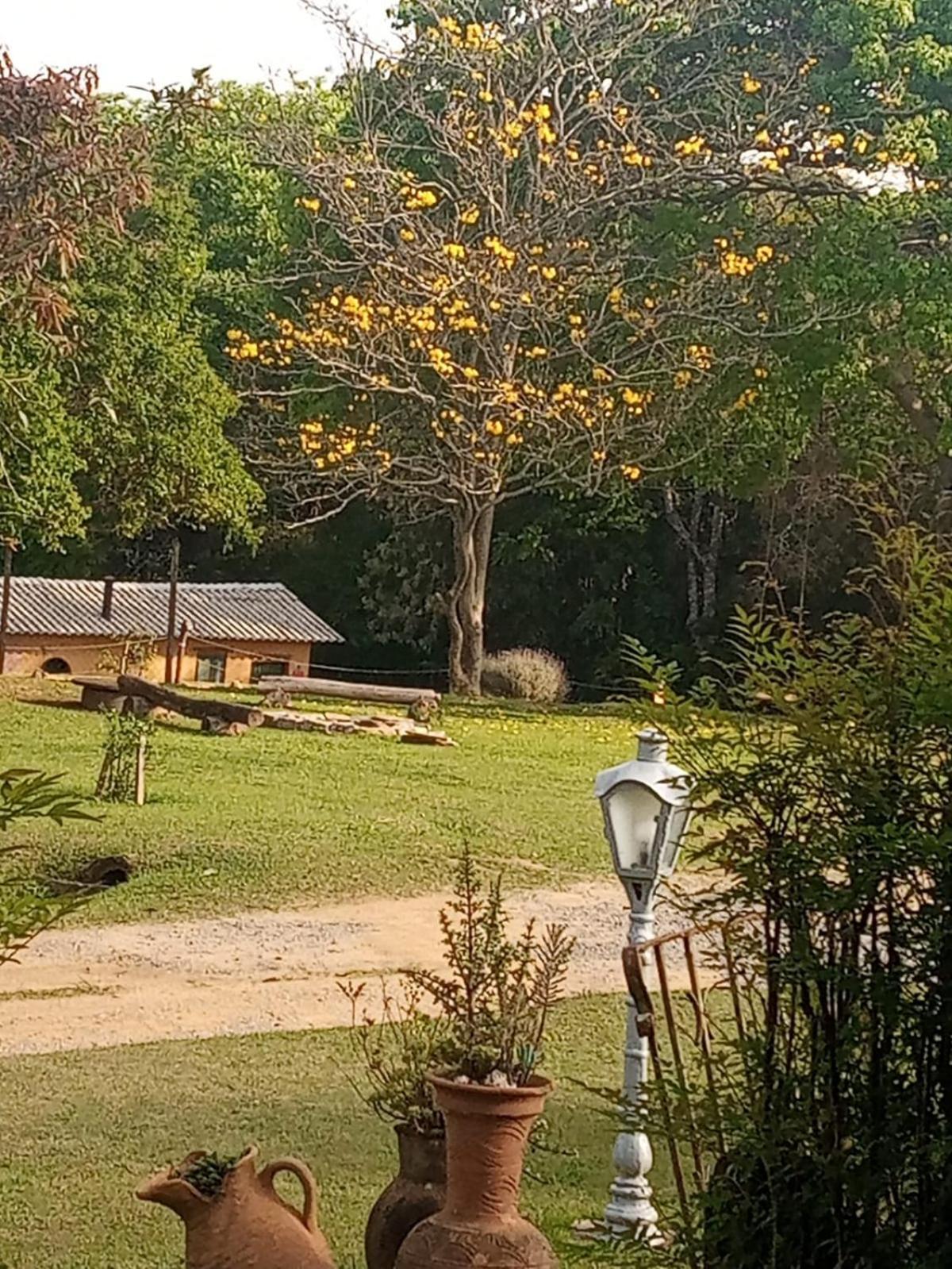 Pousada Sitio Da Terra E Arte São Roque Buitenkant foto